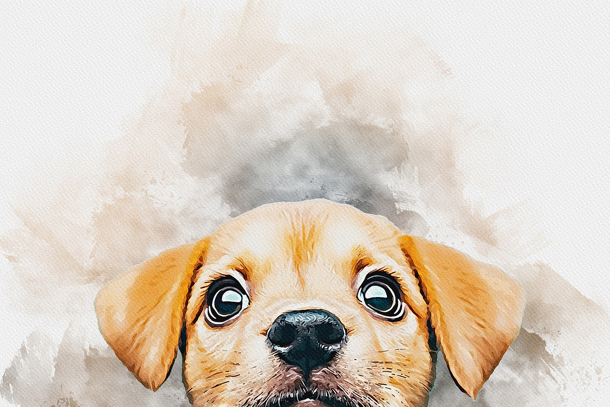 Custom Watercolor Pet Template, an Action Add-On by MRI STUDIO (Photo 21 of 23)