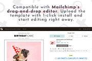 Email Newsletter Template MailChimp, an Email Template by ltsdesigns (Thumbnail 3 of 3)