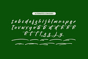 Birthday Shottera Bold Handwritten, a Script Font by Letterena Studios Script (Thumbnail 11 of 20)