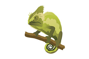 Chameleon lizard. Reptiles, an Animal Illustration by Things for designers