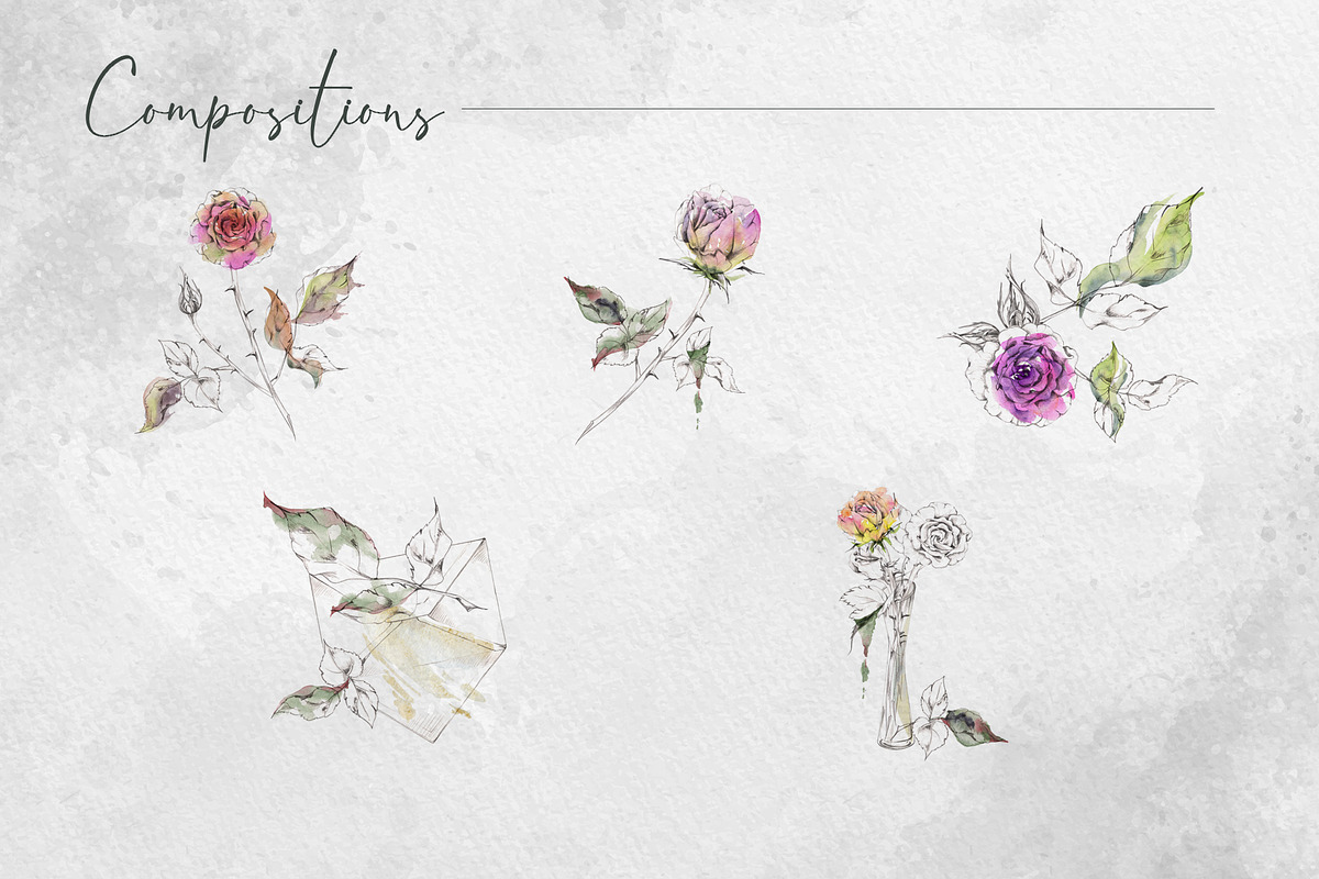 Heritage tea roses, a Decorative Illustration by MsFlaffy (Photo 6 of 14)