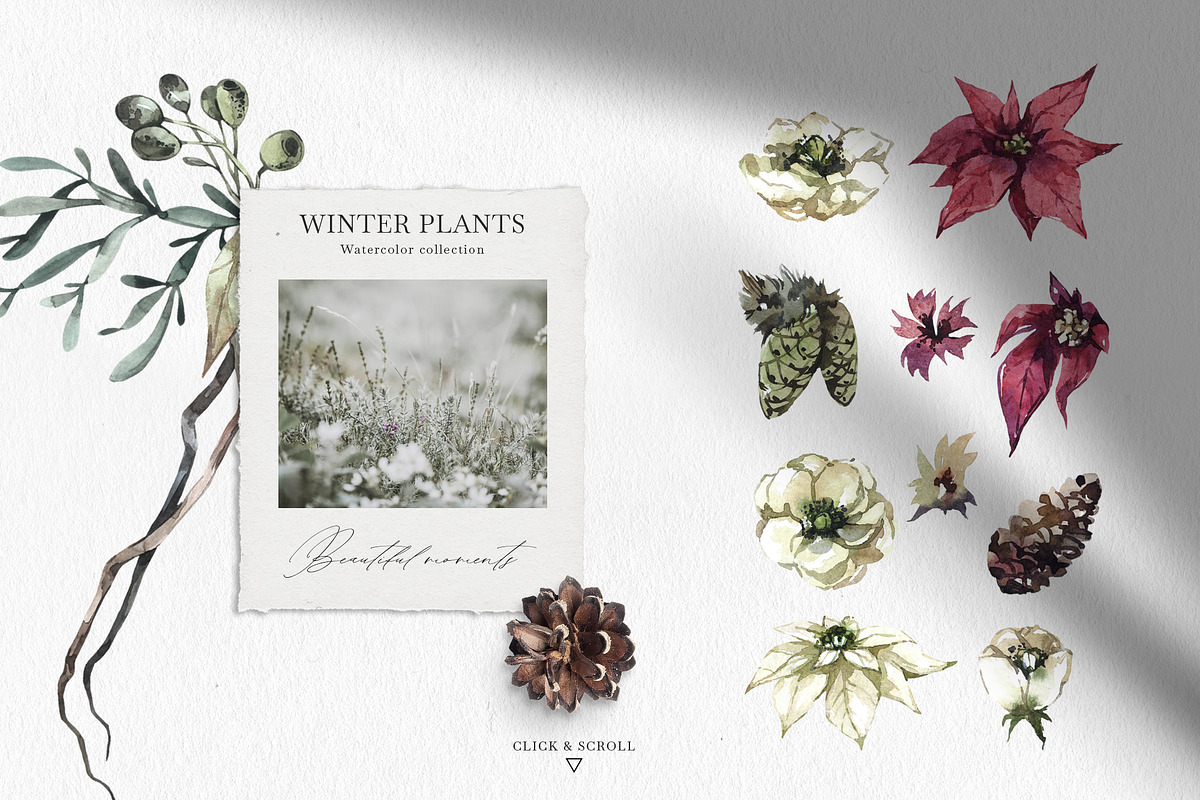 Forest Legends Winter animal set, a Seasonal Illustration by Anastezia Luneva (Photo 15 of 17)