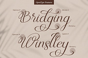 Rellydon Beautiful Calligraphy Font, a Script Font by Denustudios (Thumbnail 8 of 13)