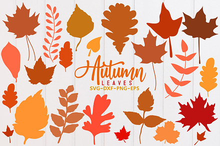 Fall leaf svg bundle, Autumn leaf