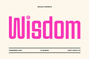 Wisdom – Condensed Font, a Sans Serif Font by Craft Supply Co. (Thumbnail 1 of 8)