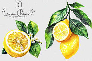 Watercolor Lemon Clipart, an Illustration by SinaCreation