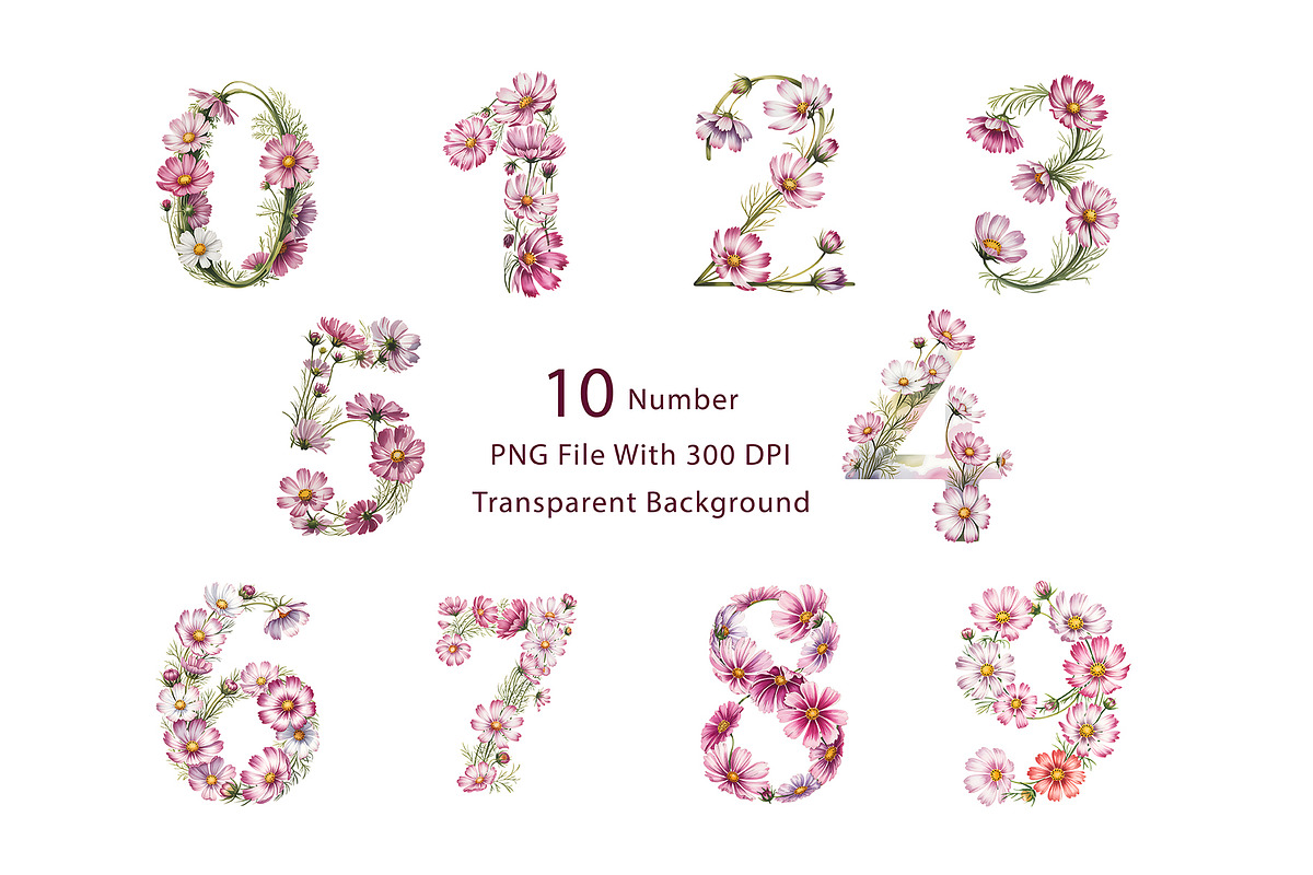 Cosmos Watercolor Floral Clipart, a Decorative Illustration by ForhadGFX (Photo 14 of 15)