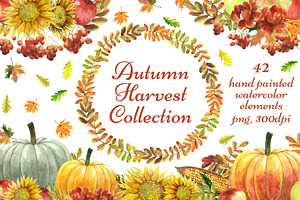 Autumn Harvest Collection