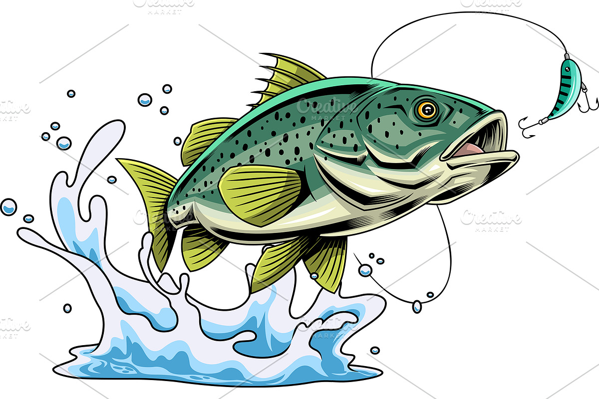 Spotted Bass Fish Cartoon Character, an Illustration by HitToon