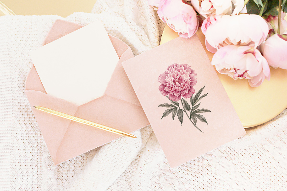 12 Watercolor Peonies PNG, a Decorative Illustration by Kotkoa (Photo 9 of 11)