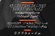 Shandia Signature, a Script Font by Gatype (Thumbnail 6 of 7)