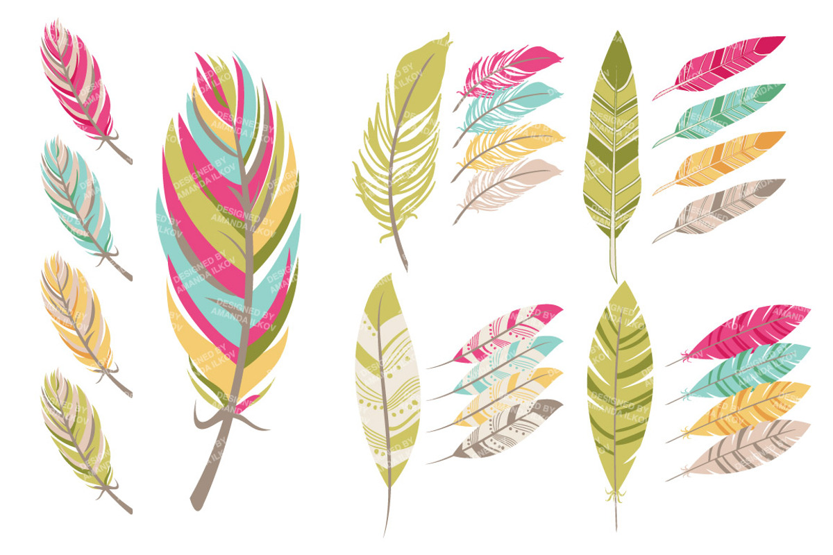 Bohemian Feathers Clipart & Vectors, an Illustration by Amanda Ilkov (Photo 4 of 4)