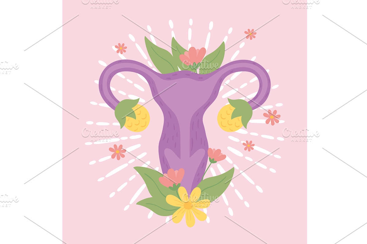 uterus body part, a Healthcare Illustration by studiogstock