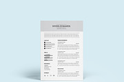 Management Director Resume Template, a Resume Template by Blackcloud_Creations (Thumbnail 7 of 12)