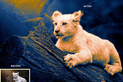 Tritone Oil Painting Ps Action, an Action Add-On by Studio Retouch (Thumbnail 11 of 13)