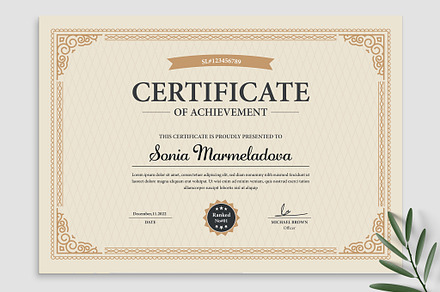 Modern Certificate of Appreciation, a Stationery Template by MightyDesign