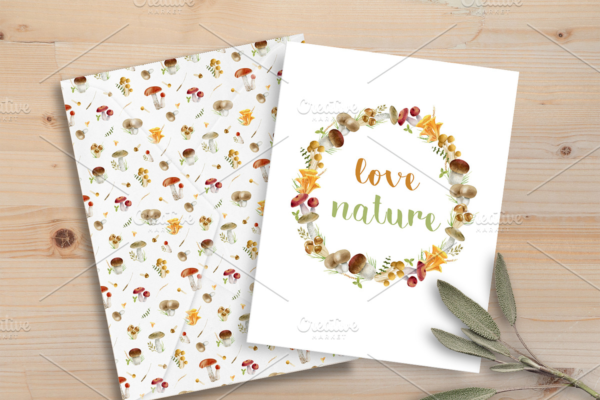 Forest watercolor designer toolkit, an Animal Illustration by Elegantia (Photo 4 of 28)