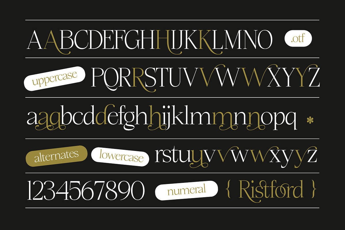 Ristford - Elegant Luxury Serif, a Serif Font by Megatype (Photo 10 of 11)