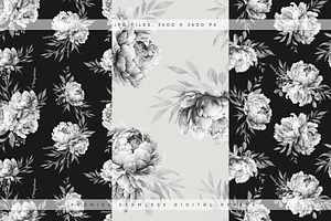 Peonies Patterns & Elements IV