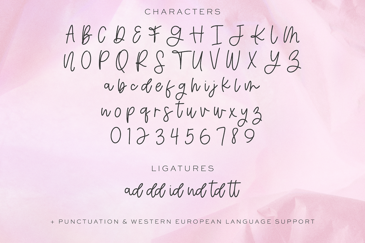 Jukebox Money Script, a Script Font by Beck McCormick (Photo 10 of 10)
