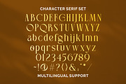 Dear Magnolia - Font Duo, a Serif Font by ErgibiStudio (Thumbnail 9 of 11)