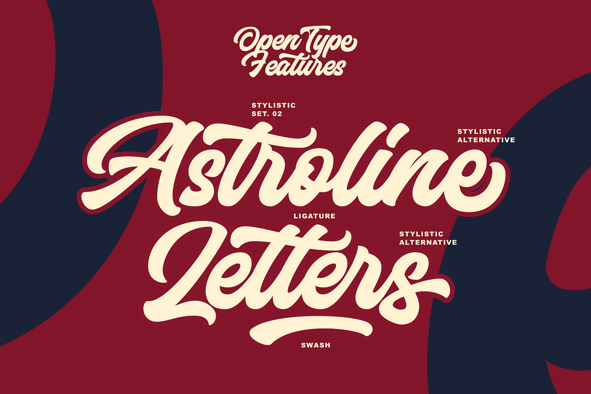 Anthemis Bold Script Font preview 5