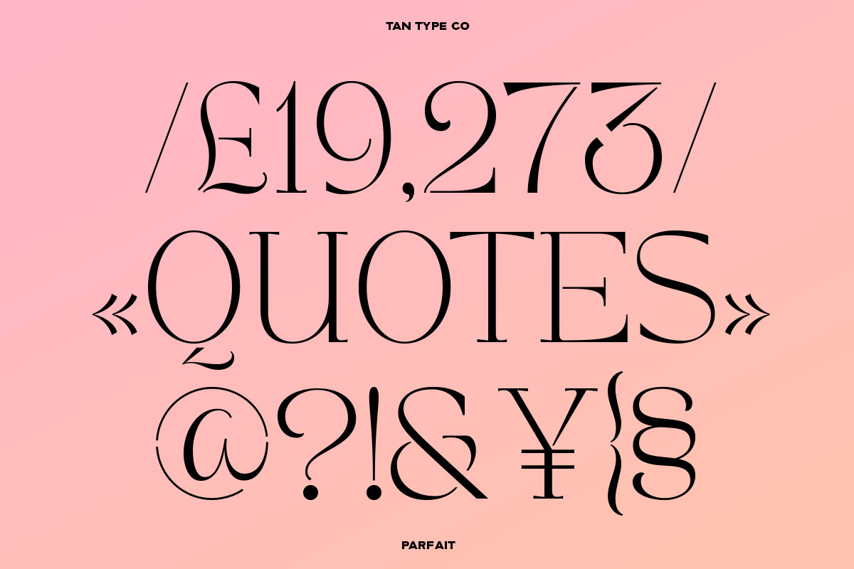 TAN - PARFAIT, a Serif Font by TanType (Photo 14 of 21)