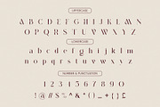 BOSHE Modern Serif Font, a Serif Font by BOOSH Studio (Thumbnail 10 of 12)