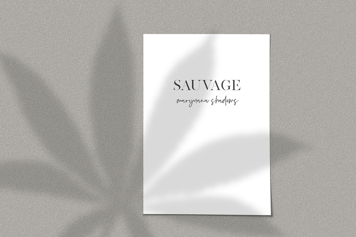 Hemp/Marijuana Shadows & MockUp, a Mockup by Jeanina Vlad (Photo 10 of 17)