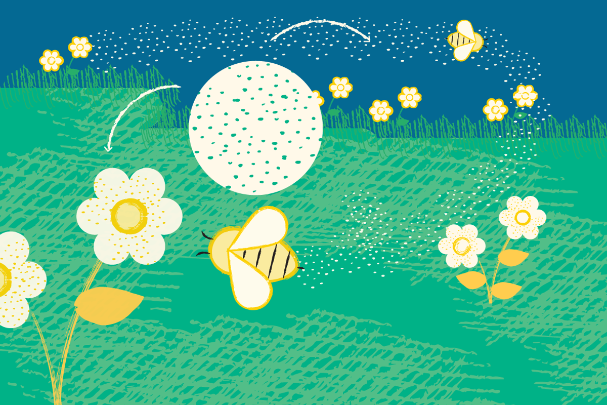 18 Scatter Brushes, a Brush Add-On by Bene's shop (Photo 2 of 5)
