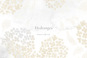 Hydrangea Pattern Collection, a Pattern Graphic by Note And Silence (Thumbnail 1 of 7)
