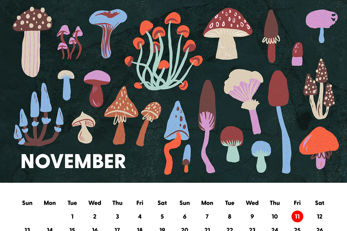 Grainy Surreal Mushrooms set, a Decorative Illustration by Paper Cherry (Photo 10 of 12)
