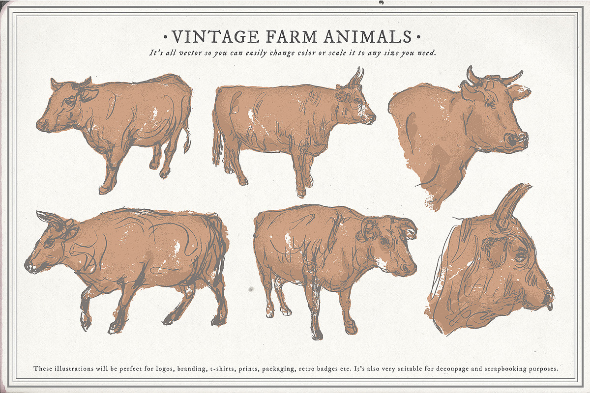 Farm Animals Set, an Object Graphic by Siosay (Photo 11 of 12)