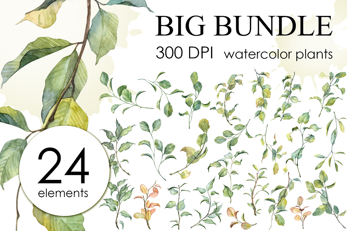 Botany watercolor PNG set, an Object Graphic by Dashamoony (Photo 1 of 4)