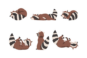 Funny Raccoon with Ringed Tail in, an Animal Illustration by TopVectors