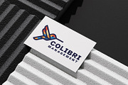Geometric Outline Colibri Bird Logo, a Branding & Logo Template by Suhandi (Thumbnail 4 of 8)