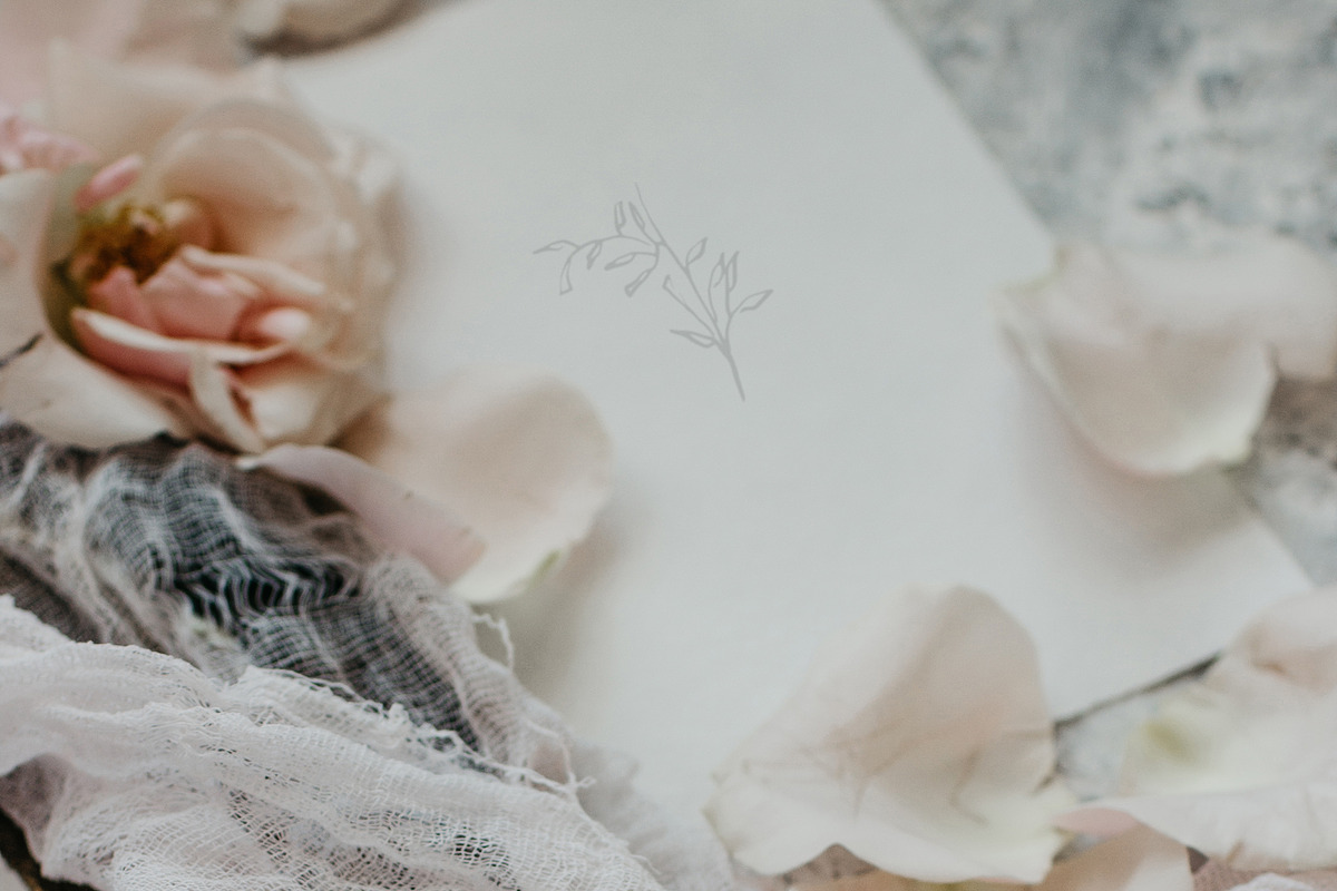 Ardent Elegance - Botanical Set, an Illustration by Backyard Rose (Photo 8 of 13)