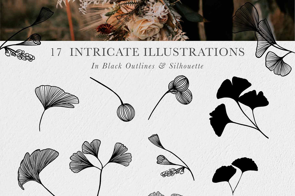 Ginkgo Botanicals - Florals & Leaves, an Illustration by Momo Studio (Photo 12 of 13)