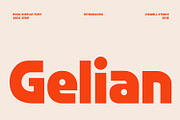 Gelian - Display Font, a Sans Serif Font by Viswell (Thumbnail 1 of 8)
