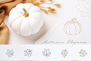 Pumpkin Line Art & Frames, a Decorative Illustration by Backyard Rose (Thumbnail 5 of 13)