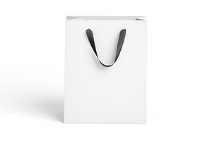 White Paper Gift Bag 3 Type 3D Model