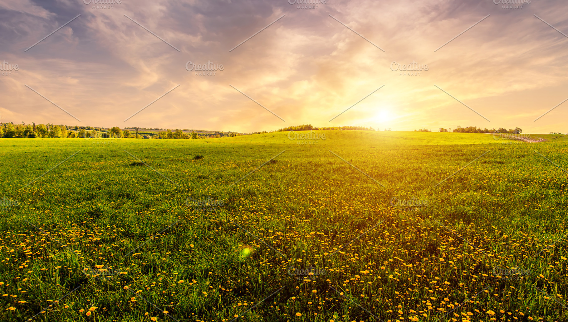 Bright vivid rural landscape at sunset, warm summer field with m, a Nature Photo by Eugene_Photo