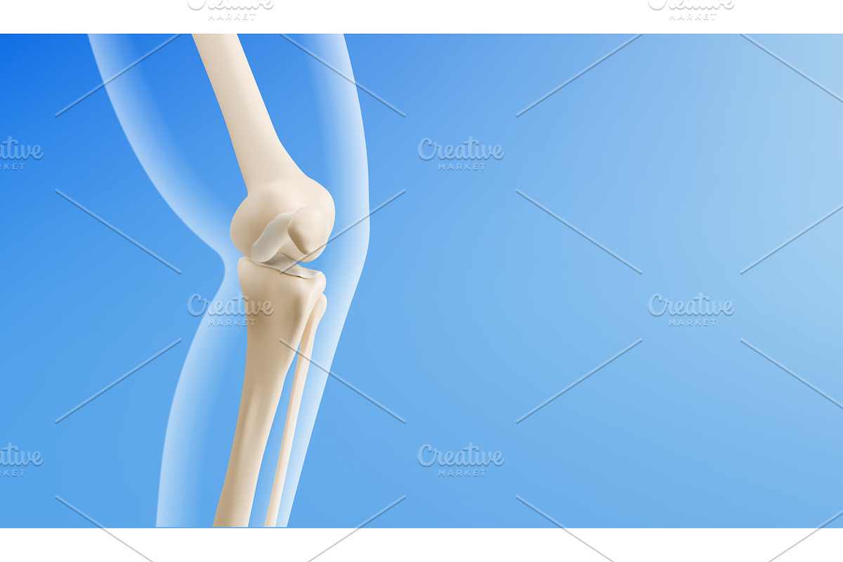 3d knee joint anatomy model, an Object Illustration by art PVP - market