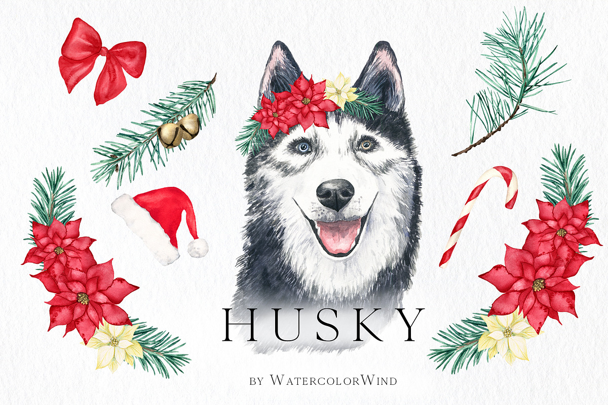 Christmas Husky Dog Winter Clipart, an Illustration by Ksenia Shmakova (Photo 1 of 6)
