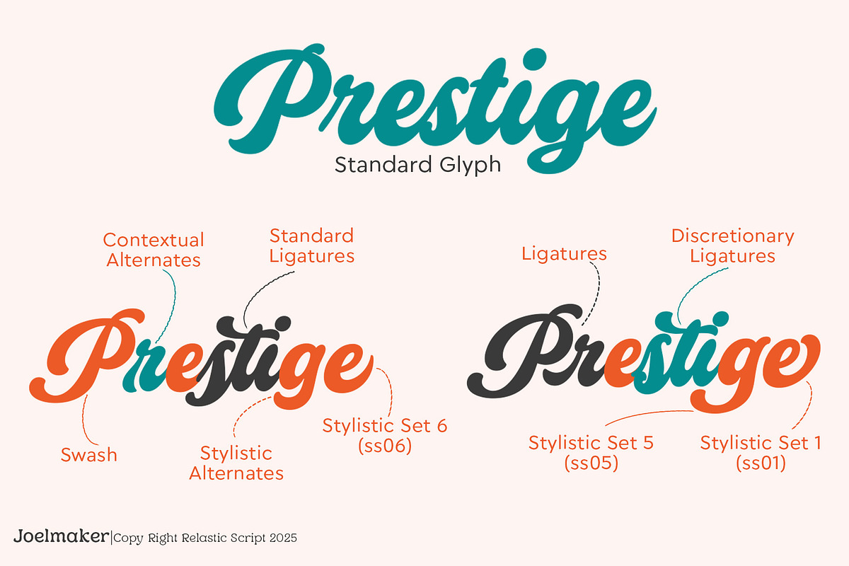 Relastic Script, a Script Font by joelmaker (Photo 4 of 18)