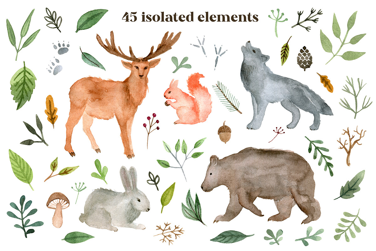 Woodland animals watercolor clipart, an Animal Illustration by alenaganzhela (Photo 3 of 11)