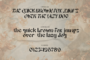 Amoren - Display Typeface, a Sans Serif Font by Say Studio (Thumbnail 13 of 14)