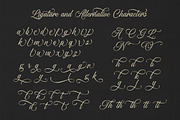 Ocean Delight a Stylish Script Font, a Script Font by Blankids Studio (Thumbnail 11 of 13)