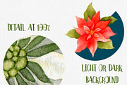 Watercolor Christmas & Winter Set, an Illustration by Watercolor Nomads (Thumbnail 8 of 8)