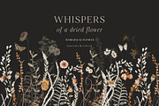 Wildflowers watercolor floral botany, a Decorative Illustration by Grace Noboa Illustrations (Thumbnail 3 of 17)